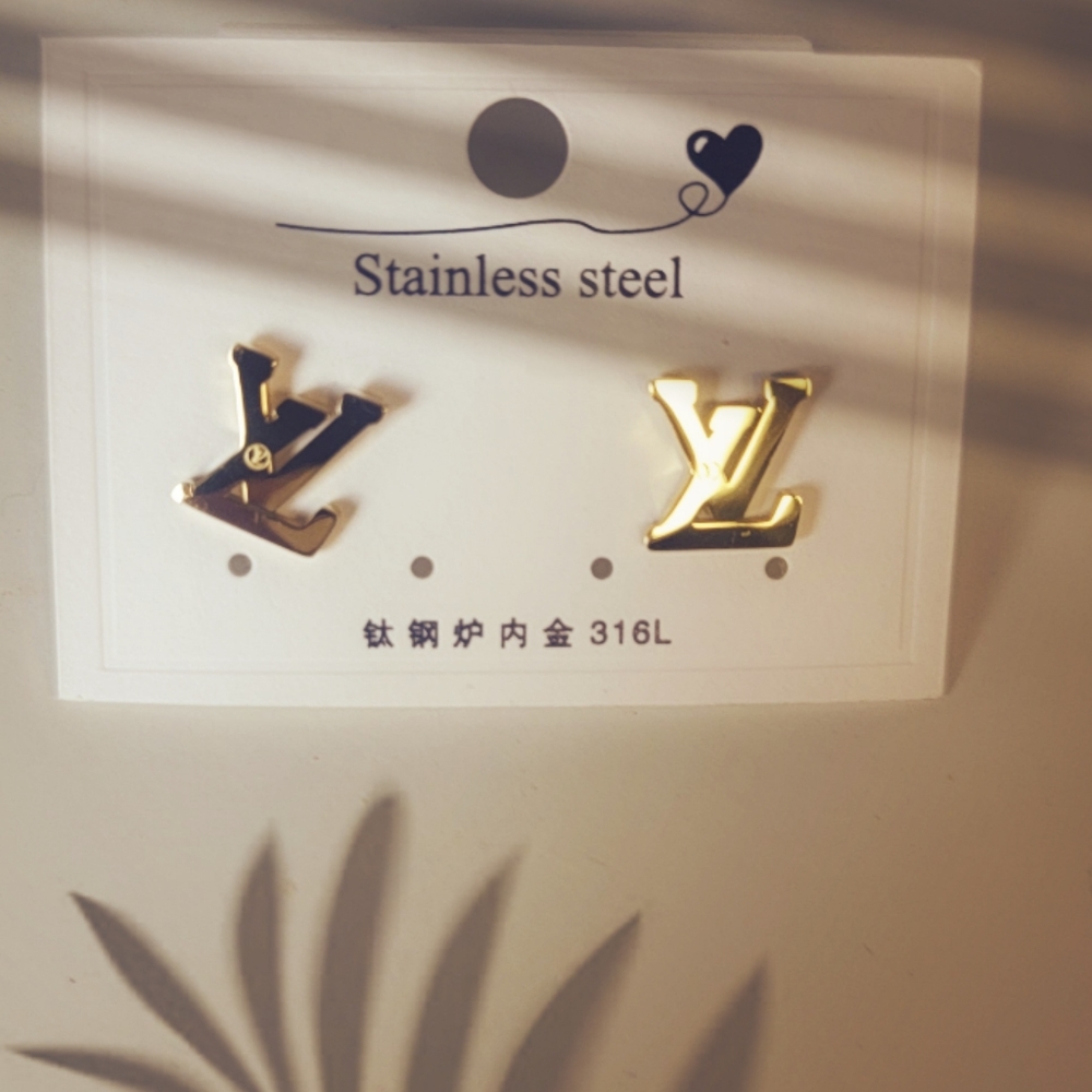 Earrings Gold Stainless steel